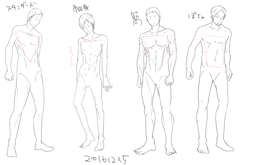 男性キャラの体型